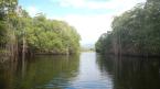 Black River tour was awesome - saw a 15 ft. crocodile