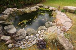 This pond build from 2007 features a bottom drain and external filtration