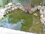 The pond is now 3x the volume. The "too much stone look" is eliminated. The skimmer now hidden against the fence