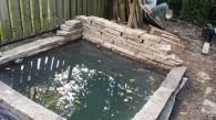 This small formal pond was build in 2013 and houses a few koi and goldfish